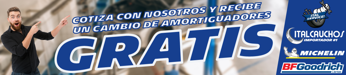 banner web